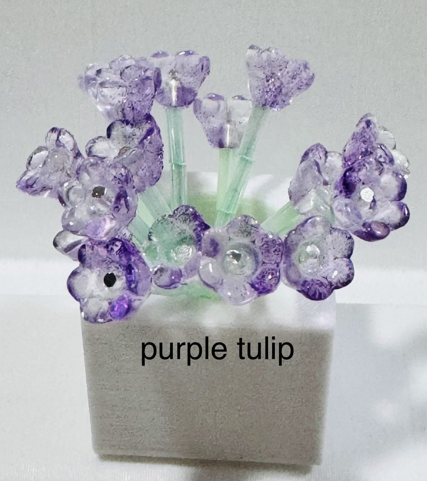 Build a Bouquet  (includes shipping within Singapore)